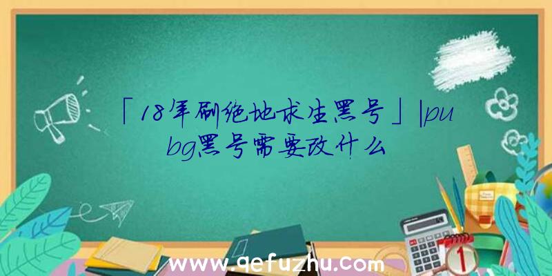 「18年刷绝地求生黑号」|pubg黑号需要改什么